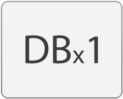 rhein-dbx1