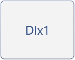 DIx3
