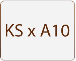 KS-A10