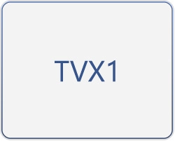 TVX1