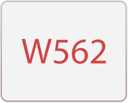 W562